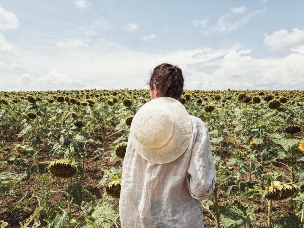 Molienda de girasol en máximo de 25 años; soja cae a mínimo de&nbsp;tres
