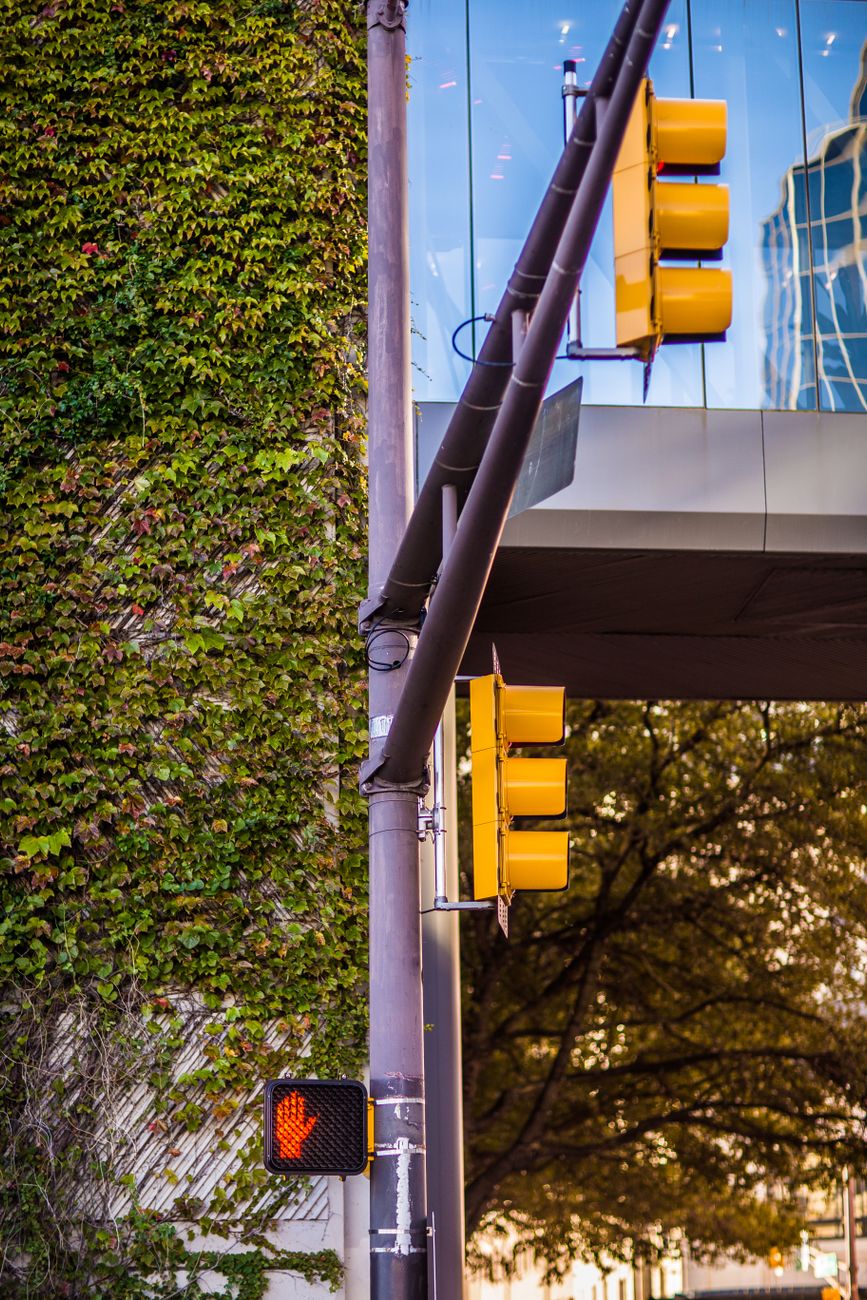 VTV vencida y robo del acta: suspensión de licencia de por&nbsp;vida
