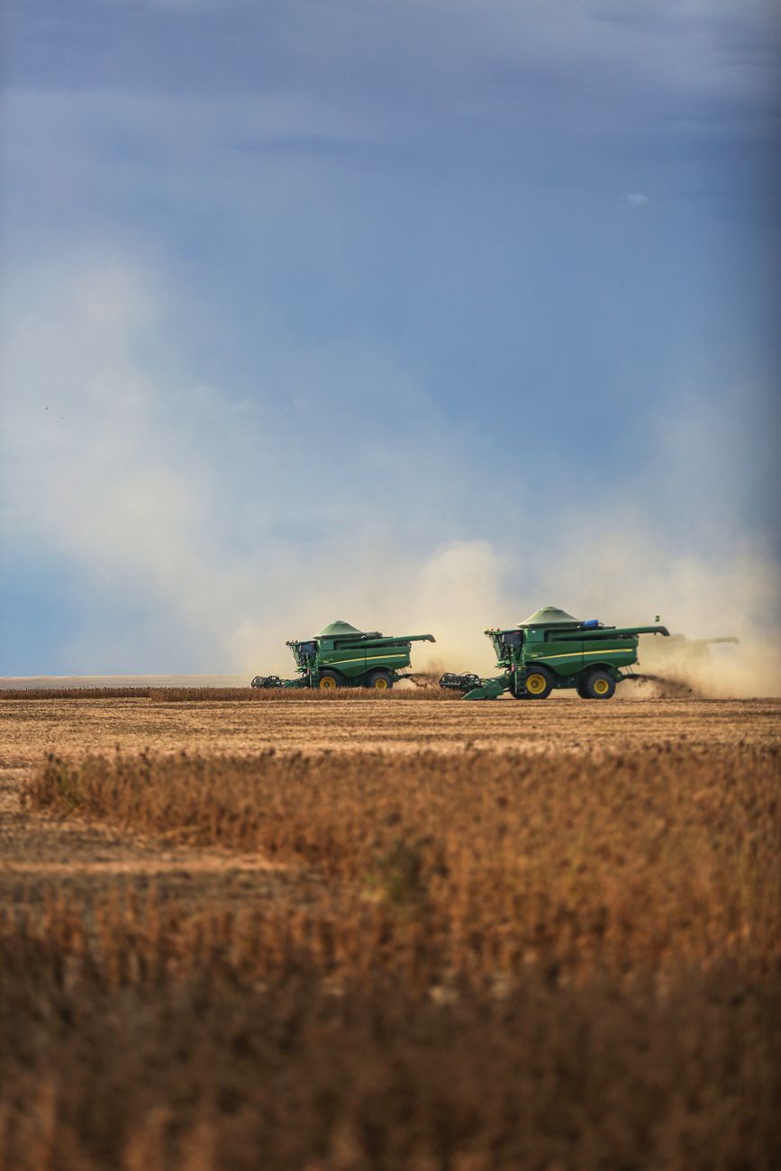 Agro en expansión: 128% de aumento en exportaciones impulsa nueva fase de&nbsp;crecimiento