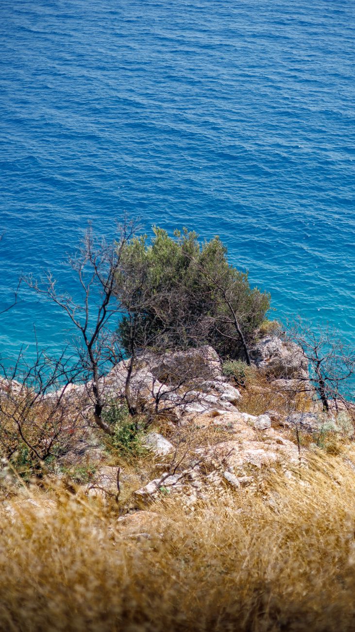 Crisis térmica en el Mediterráneo: el doble del calentamiento global&nbsp;promedio